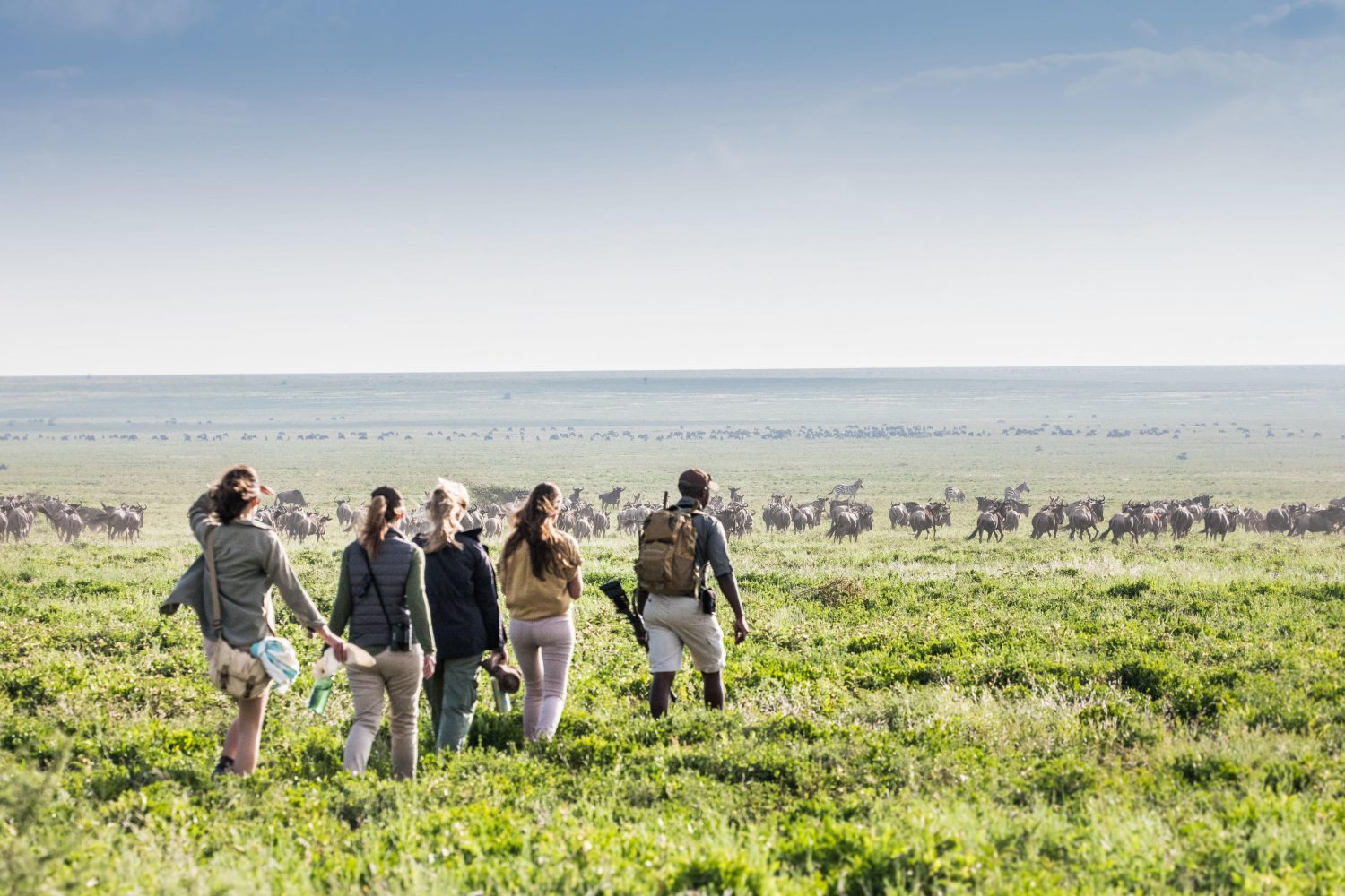 Cultural Safari
