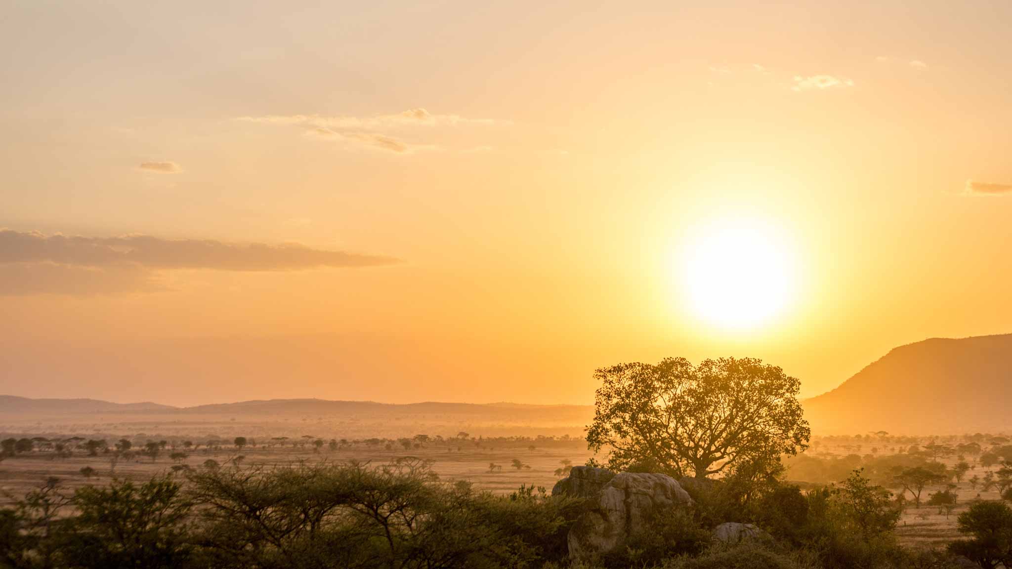 SAFARI AFRICA